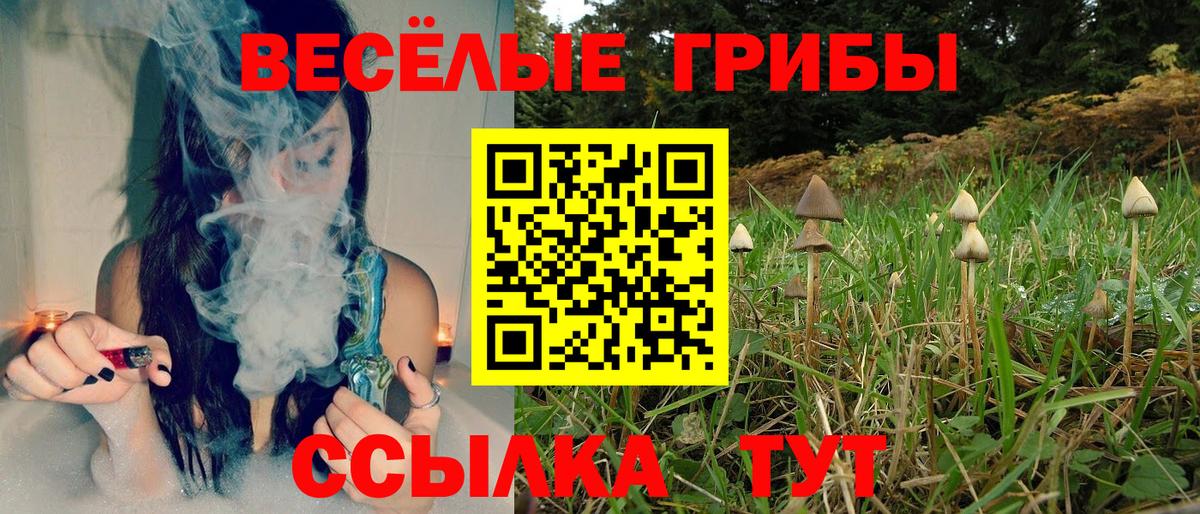 Псилоцибиновые грибы GOLDEN TEACHER  Вход с VPN  как найти закладки  Тулун  Галлюциногенные грибы Psilocybe 
