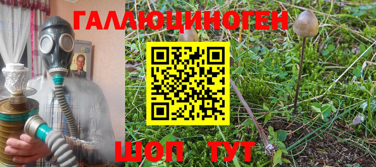 Галлюциногенные грибы ЛСД Тулун